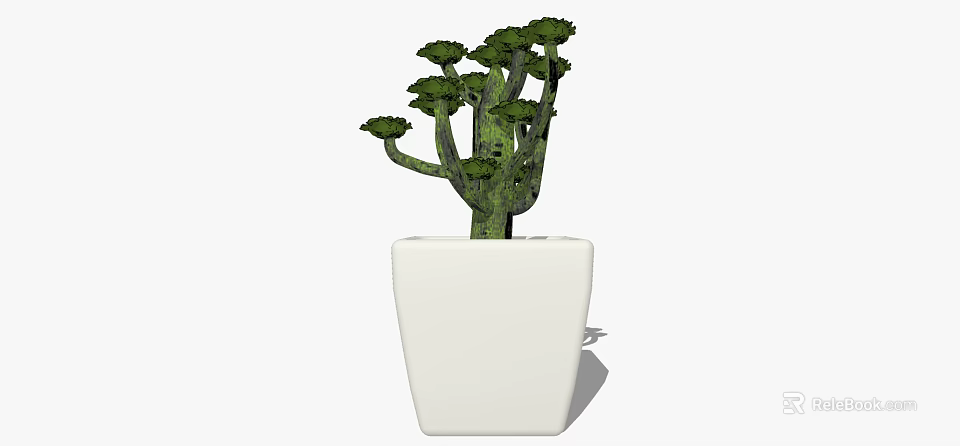 Green Leafy Bonsai Plant with Multiple Branches in White Square Pot 3d model 