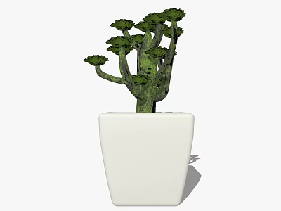 Green Leafy Bonsai Plant with Multiple Branches in White Square Pot 3d model