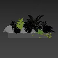 Lush Indoor Potted Plants Display With Various Green Foliage In Long Planter