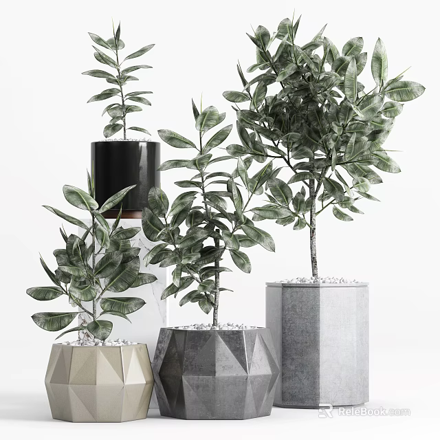 Potted Bonsai Plants In Geometric Concrete Planters With Decorative Stones And Different Heights 3d model 