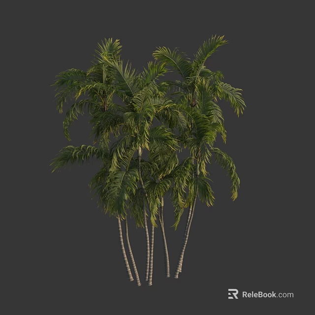 Tall Palm Trees With Lush Green Fronds And Slender Trunks In Tropical Appearance 3d model 
