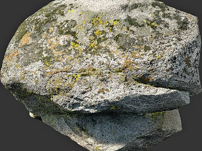 Natural Stone And Wood Elements With Mossy Surface In Outdoor Scene 3d model