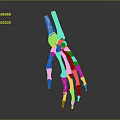 Detailed White Skeleton Hand Sculpture with Anatomical Bone Structure and Smooth Surface Details