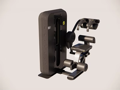 Black Multi Functional Fitness Equipment with Dumbbell Holders and Training Components 3d model