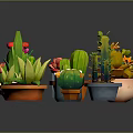 Variety of Succulent Plants in Colorful Shaped Pots for Indoor Garden