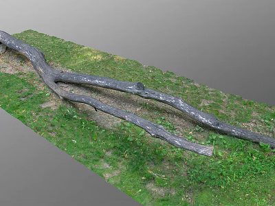 Natural Wooden Log with Rough Surface Texture Lying on Green Grass Area 3d model
