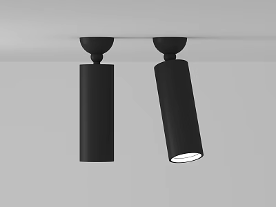 Modern Black Ceiling Downlights And Spotlights For Home Interior Lighting Fixtures 3d model