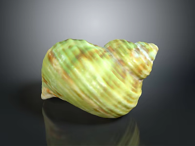 Vibrant Green And Yellow Spiral Conch Marine Animal With Textured Shell Surface On Dark Background 3d model