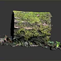 Lush Moss And Small Plants Growing On Tree Stump With Colorful Leaves