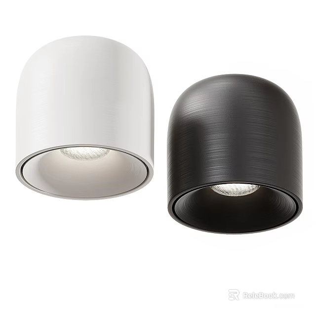Modern White and Black Downlights with Sleek Metallic Finish for Home Lighting 3d model 