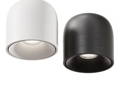 Modern White and Black Downlights with Sleek Metallic Finish for Home Lighting 3d model