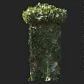 Lush Green Vine Covered Column With Dense Foliage And Natural Texture