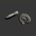 Chi chrysanthemum stone ancient fossil stone chrysanthemum fossil items 3d model