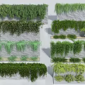 Various Green Plants On Vertical Stone Walls With Hanging And Lush Arrangements