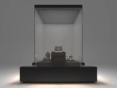 Cultural Center Exhibition Display With Glass Showcase And Illuminated Artifacts 3d model