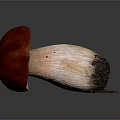 Red And White Mushroom Plant With Textured Caps And Soil Covered Stems On Gray Background