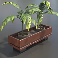 Two Bonsai Potted Plants In Wooden Rectangular Planter With Green Leaves 3d model