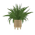 Potted Fern Plant with Lush Green Leaves and Wooden Bead Pattern Planter