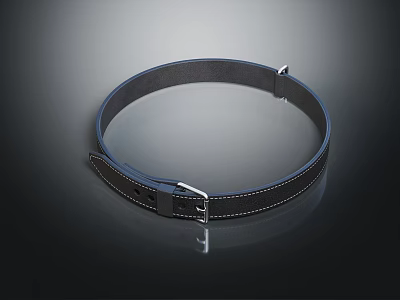 Pet Dog Collar with Black Leather Material and Metal Buckle Design 3d model