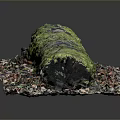 Natural Moss Covered Long Structure With Colorful Textured Base And Green Foliage