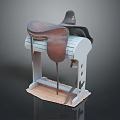 Leather Horse Saddle Placed On Metal Stand For Equestrian Equipment