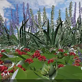 Vibrant Garden Flowers With Purple White Red Blooms And Lush Green Leaves Under Blue Sky