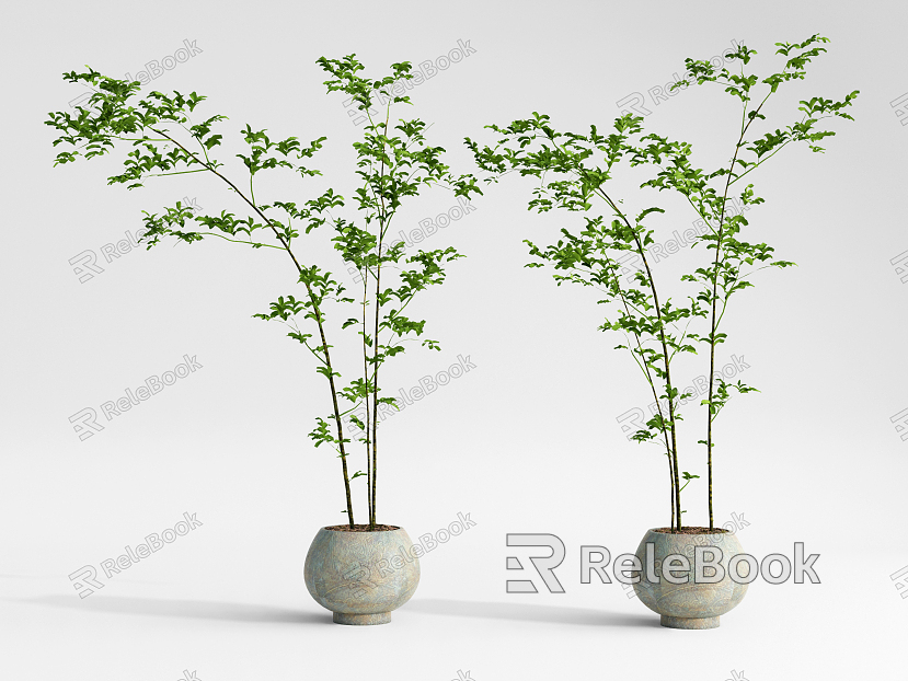 modern potted plant model