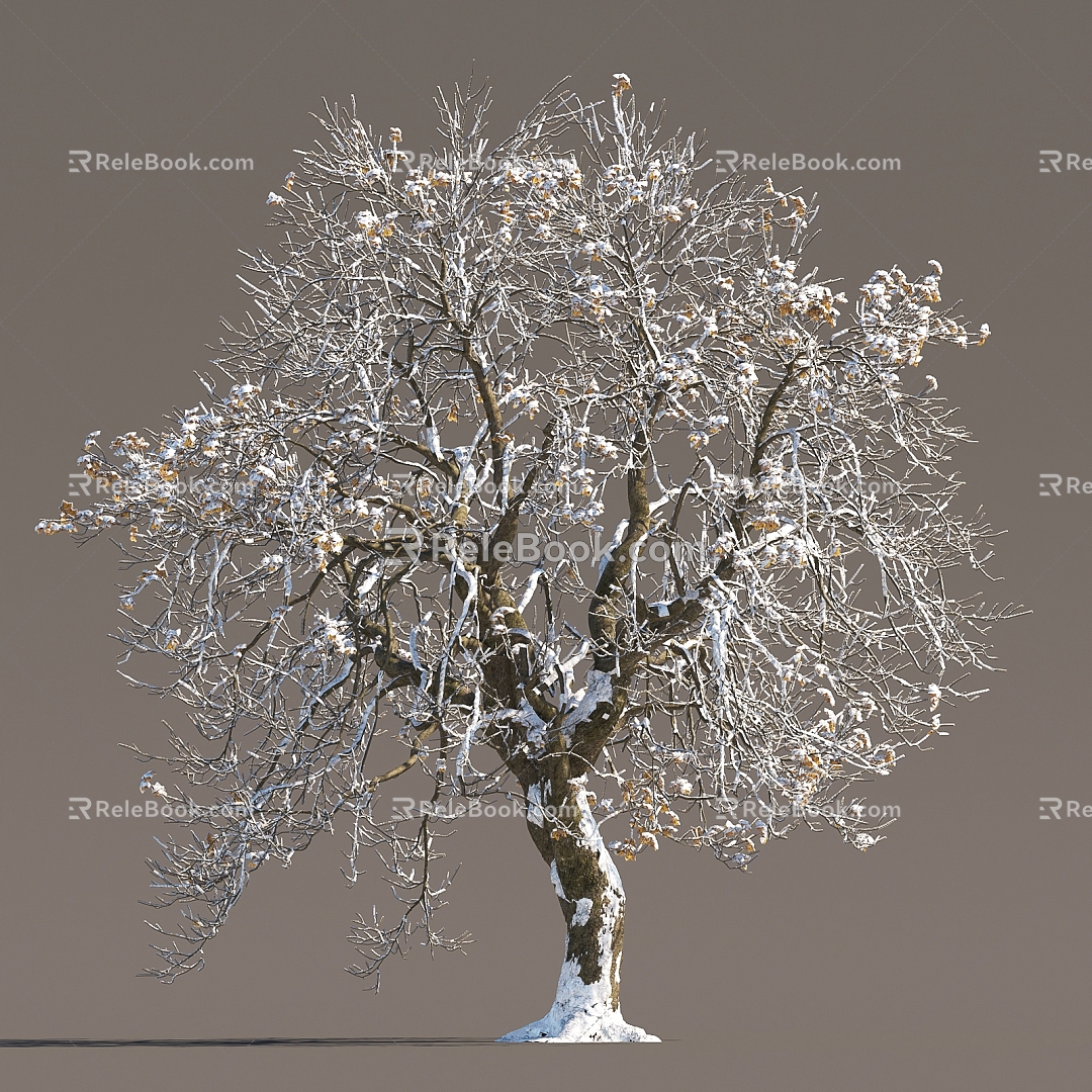 Winter Snow Trees Snow Trees Snow Plants Landscape Trees Snow Trees Snow Trees Snow Trees Winter Trees Trees 3d model