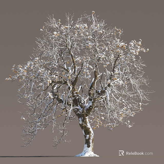 Snow Covered Winter Tree With Bare Branches And Frosted Twigs Against Gray Sky 3d model 