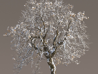 Winter Snow Trees Snow Trees Snow Plants Landscape Trees Snow Trees Snow Trees Snow Trees Winter Trees 3d model