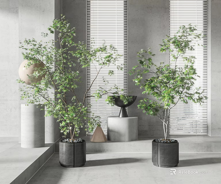 Bonsai Plants in Black Woven Pots with Grey Walls Blinds Grey Pillars and Geometric Ornaments 3d model 