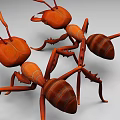 Two Orange Reptiles With Large Pincers And Ant Like Features In 3D Rendering