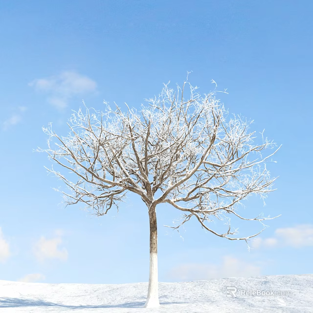 Leafless Tree With Frost Covered Branches Against Blue Sky And White Clouds 3d model 