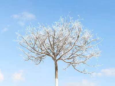 Leafless Tree With Frost Covered Branches Against Blue Sky And White Clouds 3d model