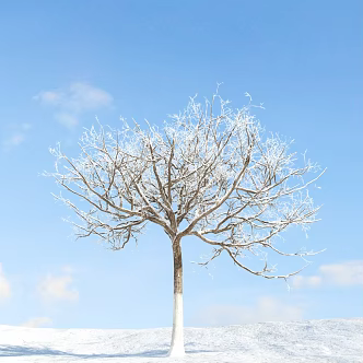 The Modern Tree 3d model