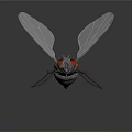 Game Movie Character 3D Rendered Fly With Transparent Wings Red Eyes Metallic Body
