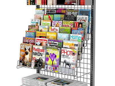 Organized Retail Display Shelving Showcasing Assorted Magazines And Stacked Newspapers 3d model