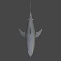Realistic Gray Shark 3D Model With Detailed Fin And Body Render 3d model