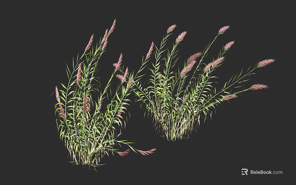 Green Leafy Shrubs With Pink Spiked Flowers In Natural Growth Form 3d model 