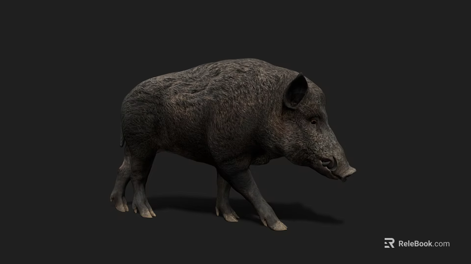 Realistic Wild Boar 3D Model With Detailed Fur Texture And Dark Background 3d model 