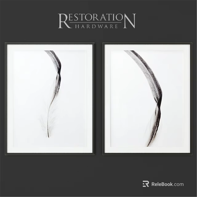 Pair of Picture Frames With Black Borders Featuring Black and White Feather Prints 3d model 