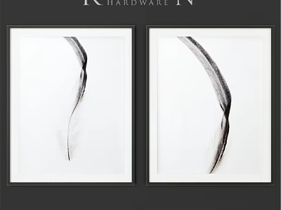 Pair of Picture Frames With Black Borders Featuring Black and White Feather Prints 3d model