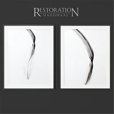 Pair of Picture Frames With Black Borders Featuring Black and White Feather Prints 3d model