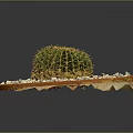 Small Green Round Cactus Plant in Orange Plate with White Pebbles