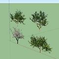 2D Peach Tree 3d model
