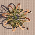 Outdoor Chair with Circular Orange Design Where People Sit Around a Tree for Relaxation