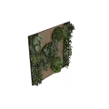 Living Plant Wall Design With Wooden Background And Circular Green Plant Decor