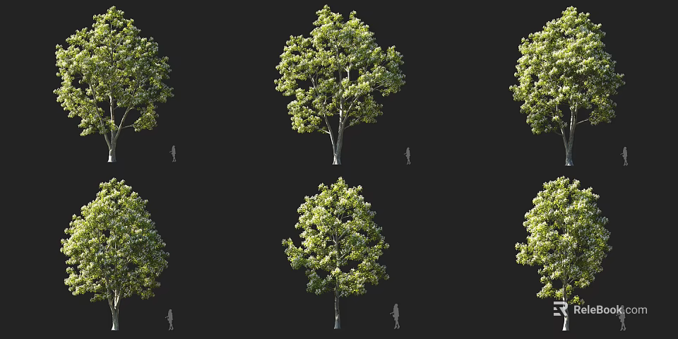 Tall Arbor With Lush Green Foliage And Human Figure For Scale Reference 3d model