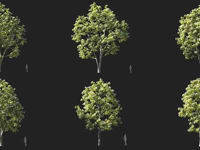 Tall Arbor With Lush Green Foliage And Human Figure For Scale Reference 3d model