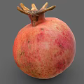 Fresh Ripe Pomegranate with Red Pink Speckled Skin and Crown on Gray Background
